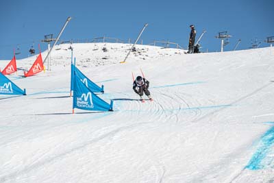 250809HS_386_display