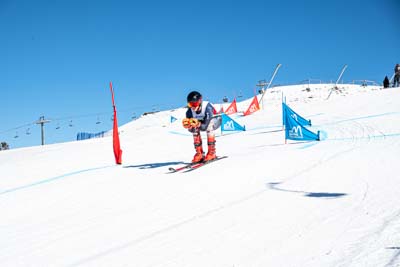 250809HS_943_display