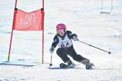 250810AJ_312_display