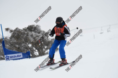 170021TH_C317